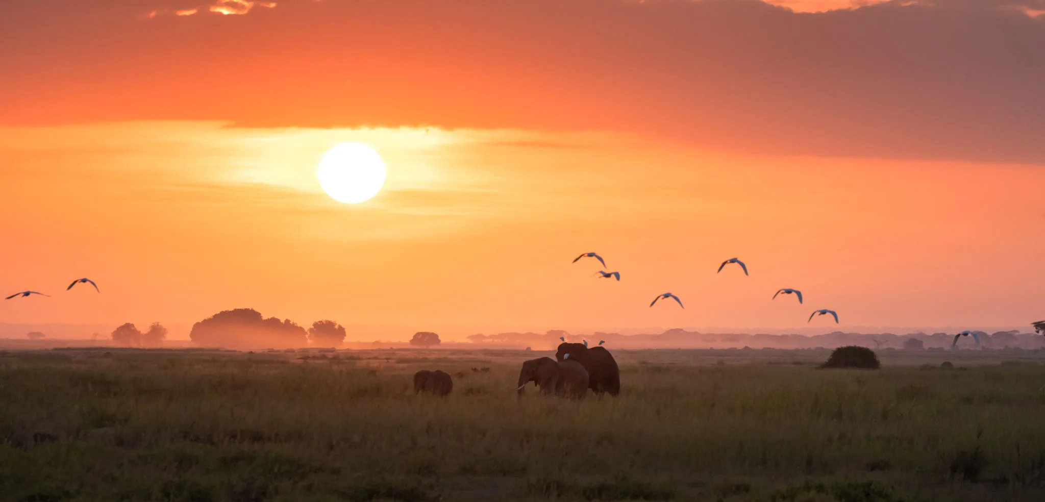 Sunset over Amboseli with Mount Kilimanjaro in the background